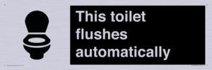 This toilet flushes automatically